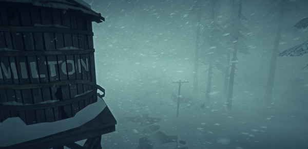 Fixing The Long Dark’s msvcr100.dll is missing an error
