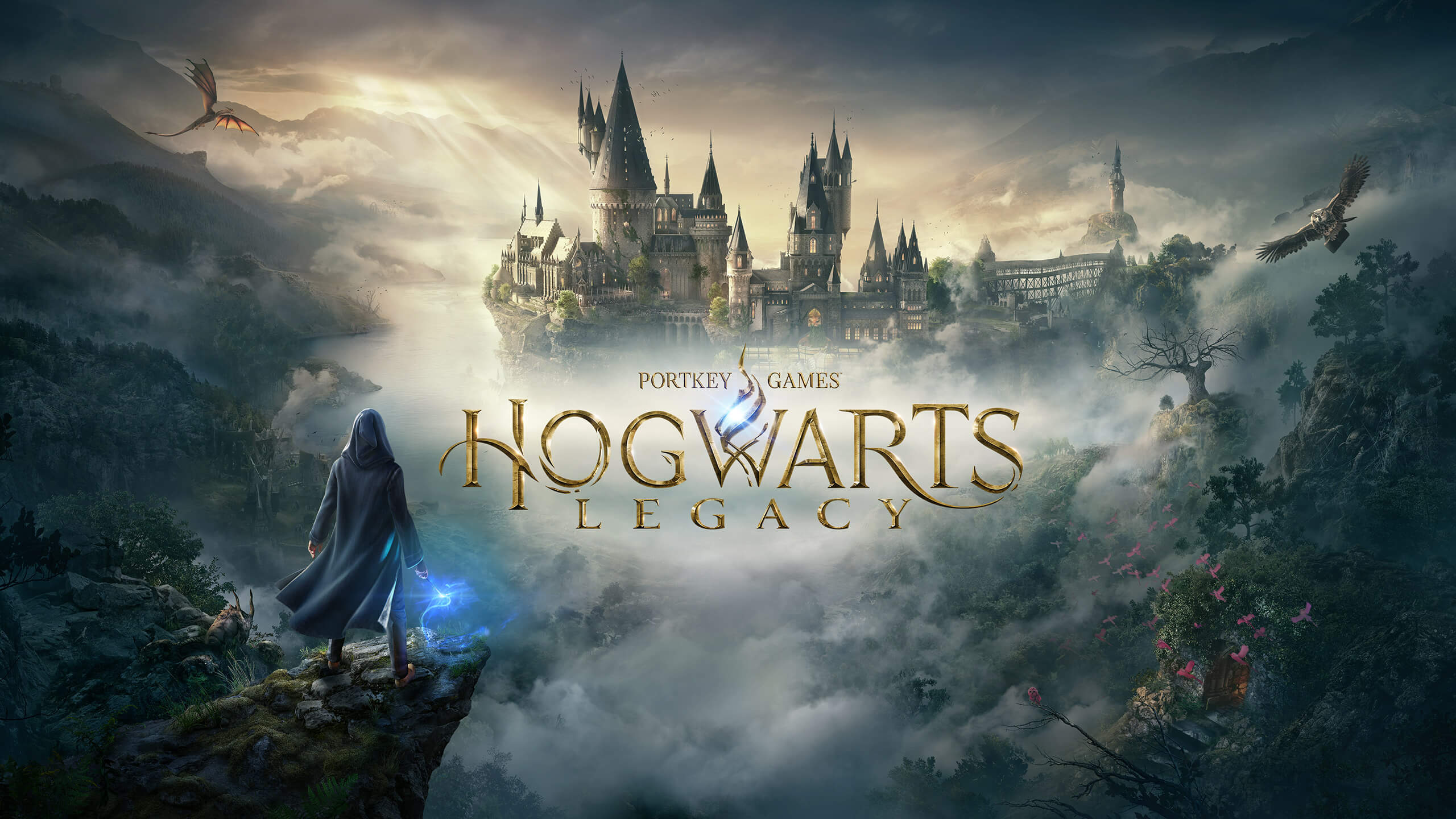 Hogwarts Legacy d3d11.dll